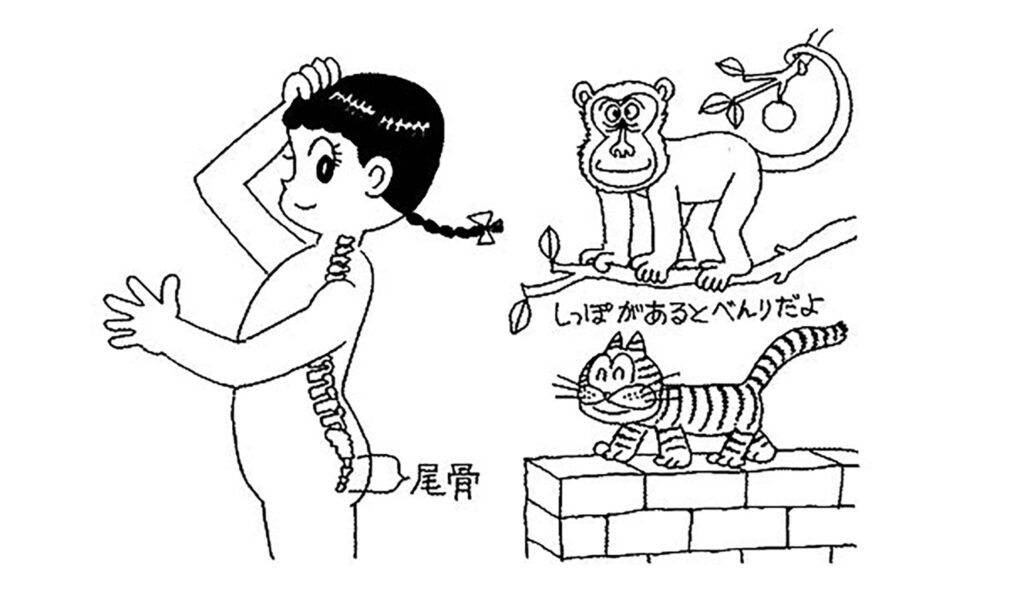 しっぽのある人間、伝説と真実の境界 1 e38197e381a3e381bde381aee38182e3828be4babae99693e38081e4bc9de8aaace381a8e79c9fe5ae9fe381aee5a283e7958c