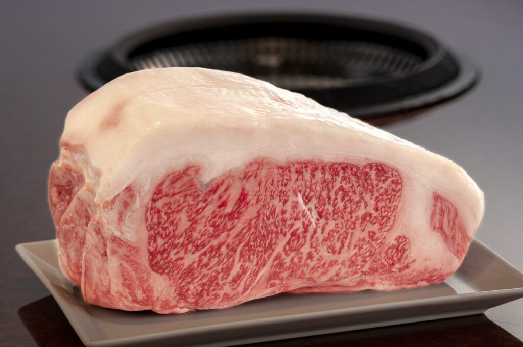 和牛の脂が多すぎる?その健康への影響を考える 1 e5928ce7899be381aee88482e3818ce5a49ae38199e3818ee3828befbc9fe3819de381aee581a5e5bab7e381b8e381aee5bdb1e99fbfe38292e88083e38188e3828b