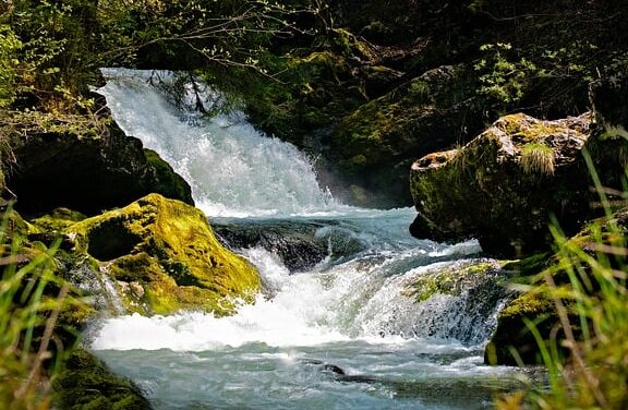 川の水を飲む、自然との共存の可能性 1 e5b79de381aee6b0b4e38292e9a3b2e38280e38081e887aae784b6e381a8e381aee585b1e5ad98e381aee58fafe883bde680a7